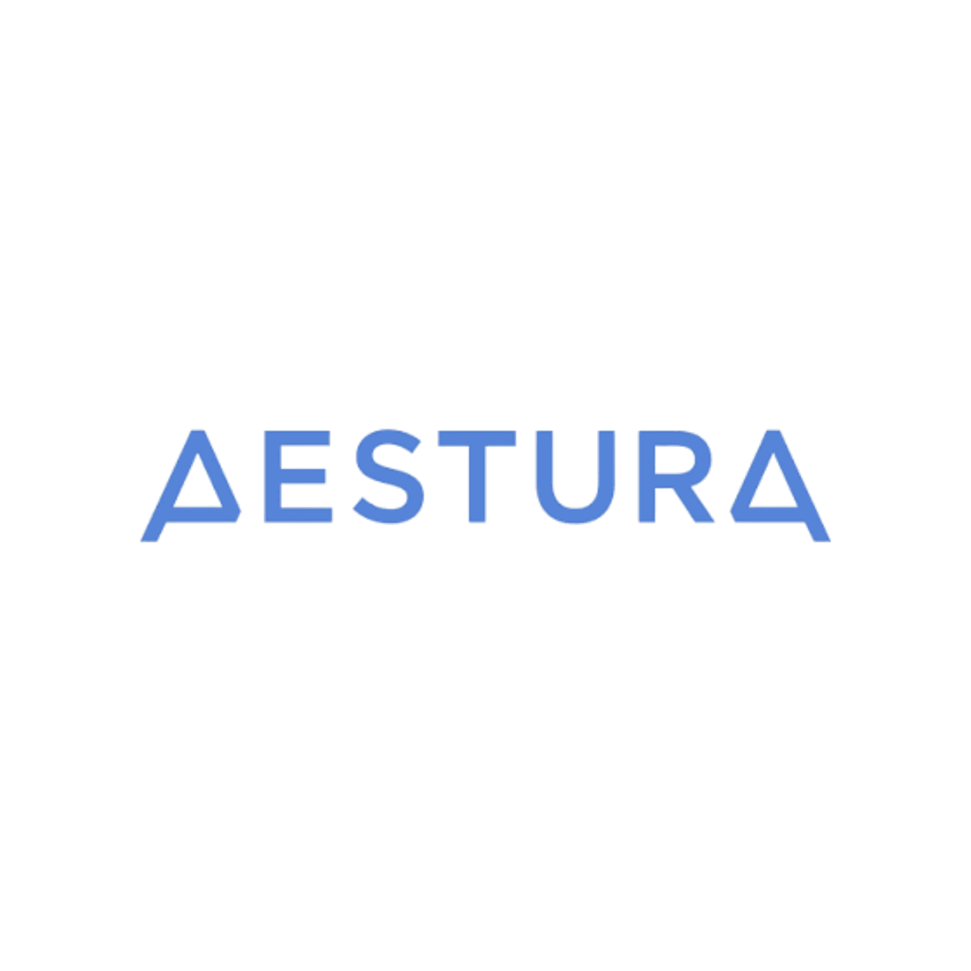 brand aestura